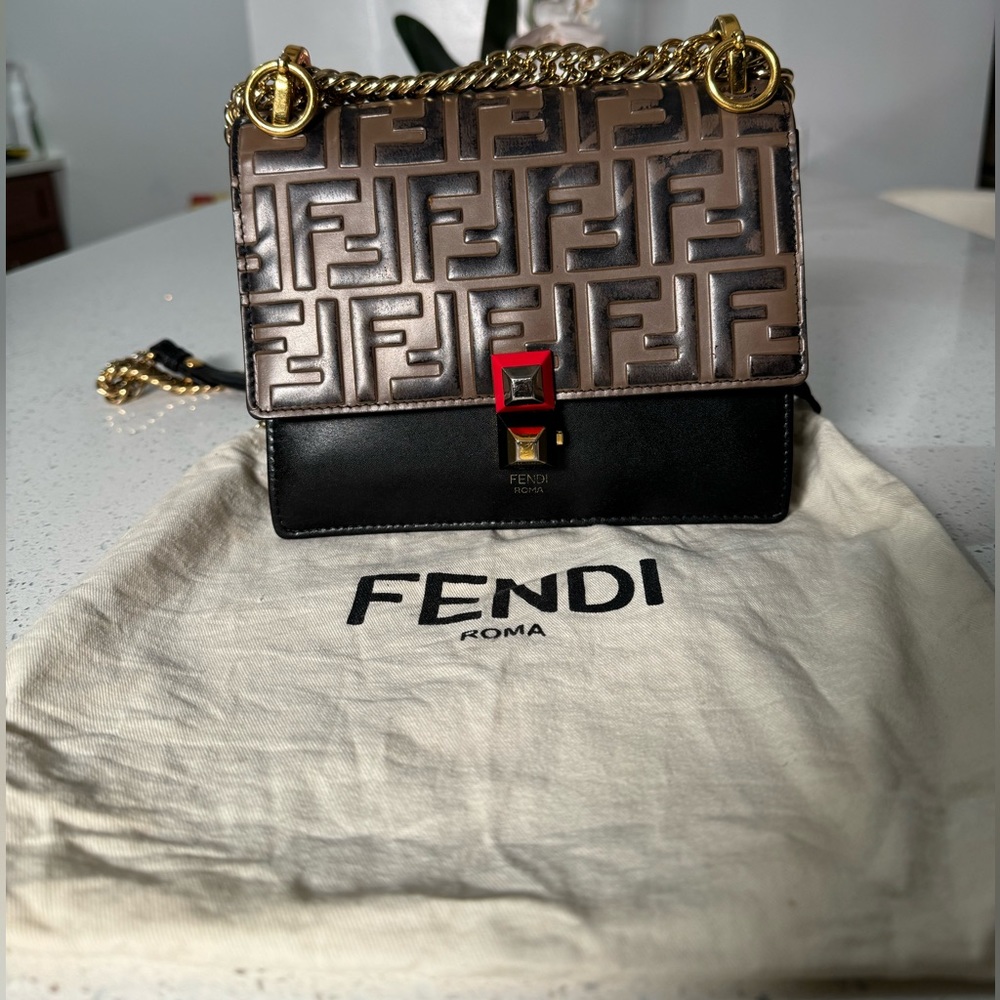 FendiKan I leather crossbody bag
Very good condition
